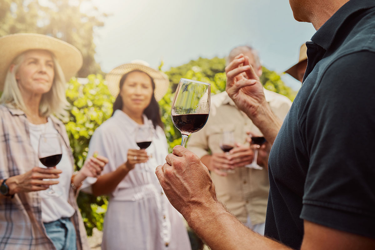 Guided Wine Tour